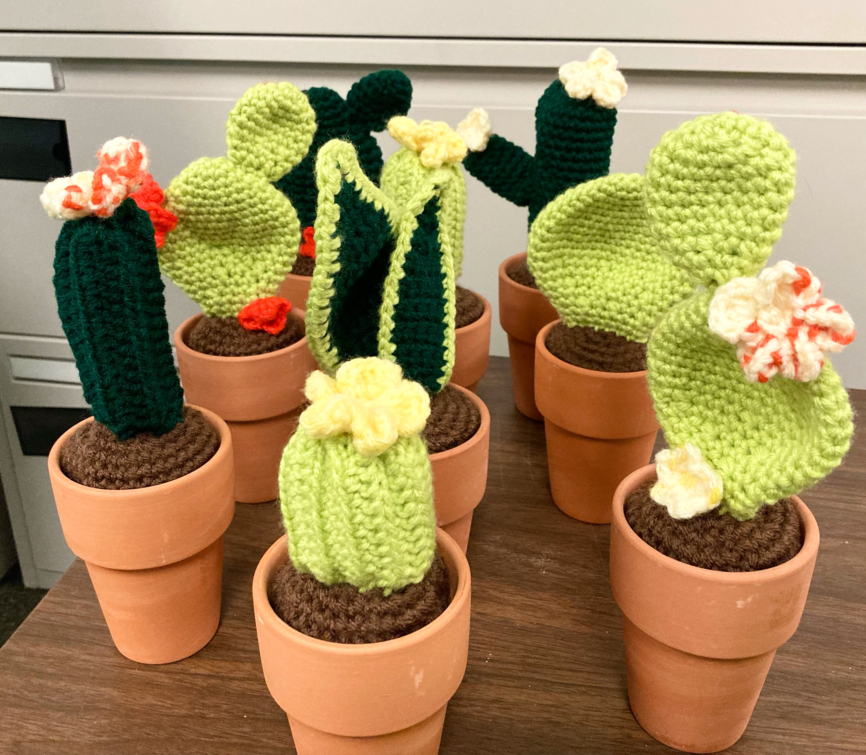 collection of many knitted cactus of different types in tera cota pots